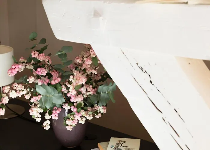 فندق Altstadt زيورخ