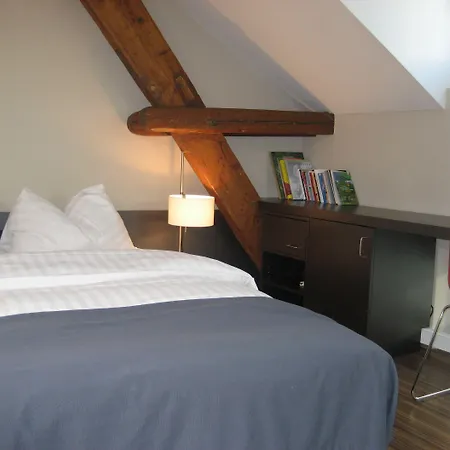 Altstadt Hotel 3*