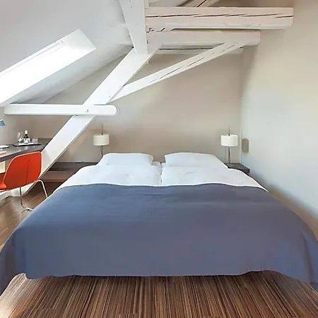 Altstadt Hotel 3*