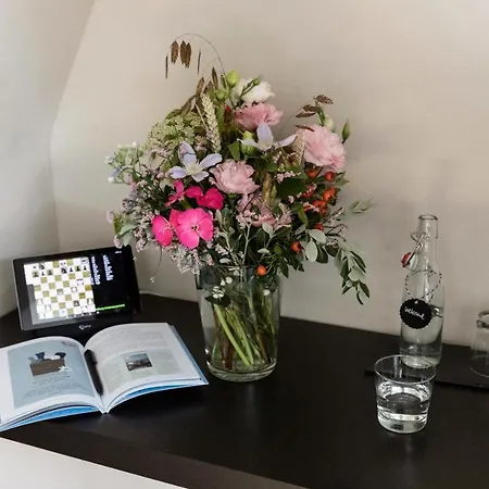 Altstadt Hotel 3*