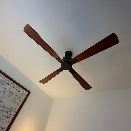 מלון Altstadt 3*